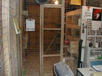 Breeding Area